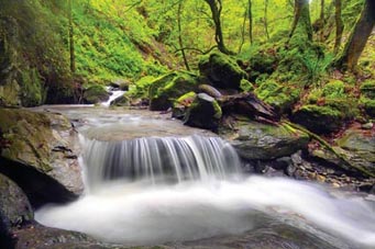 Sciences de l’environnement :  Cette spécialisation est-elle faite pour vous?