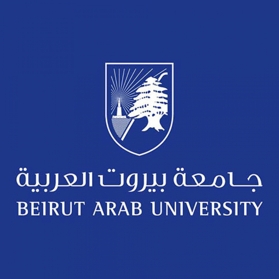 بيروت العربية بين 16 جامعة عالمية لقيادة اهداف المجموعة العالمية للتعليم العالي والتنمية المستدامة